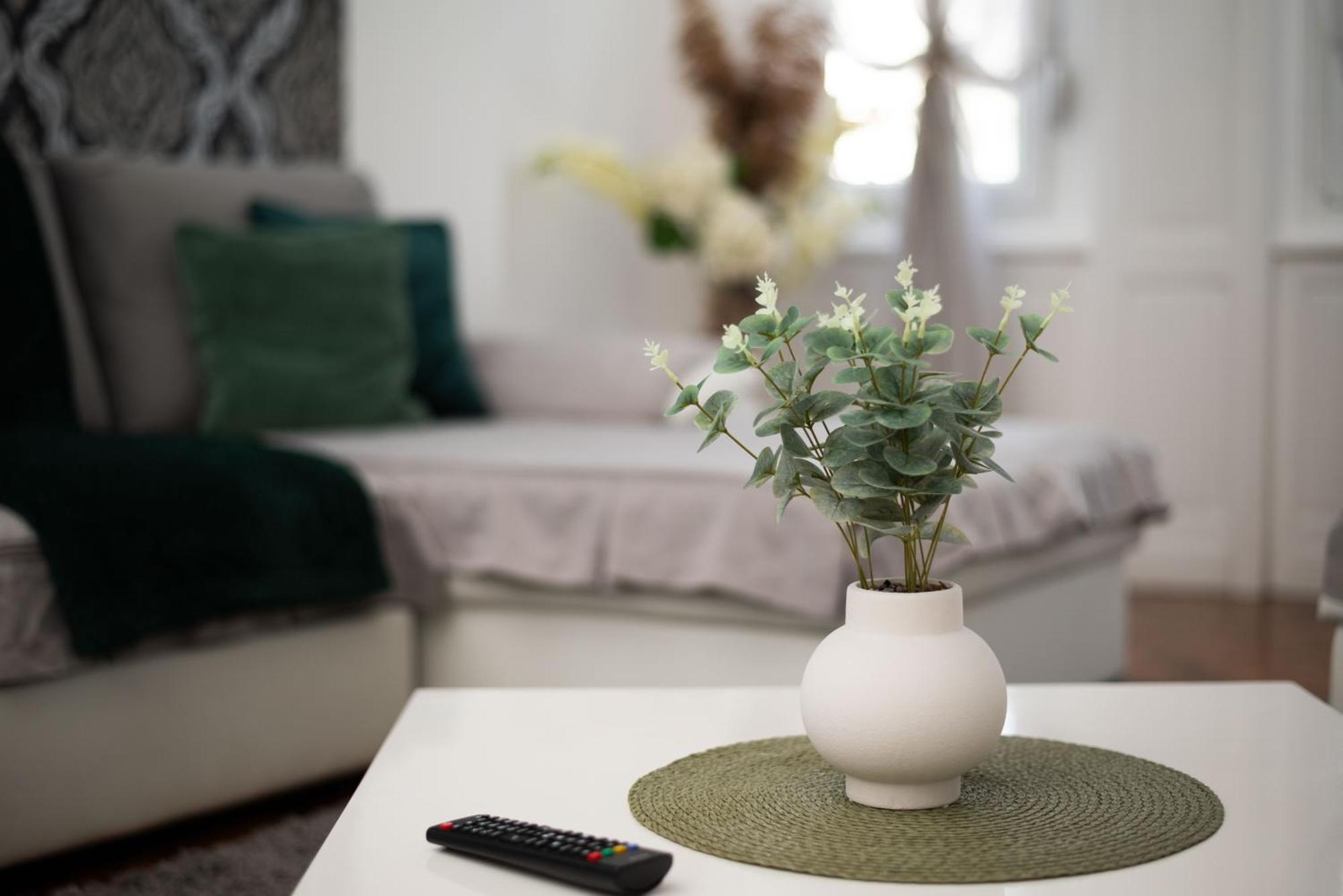 Apartment Primula Subotica Zewnętrze zdjęcie