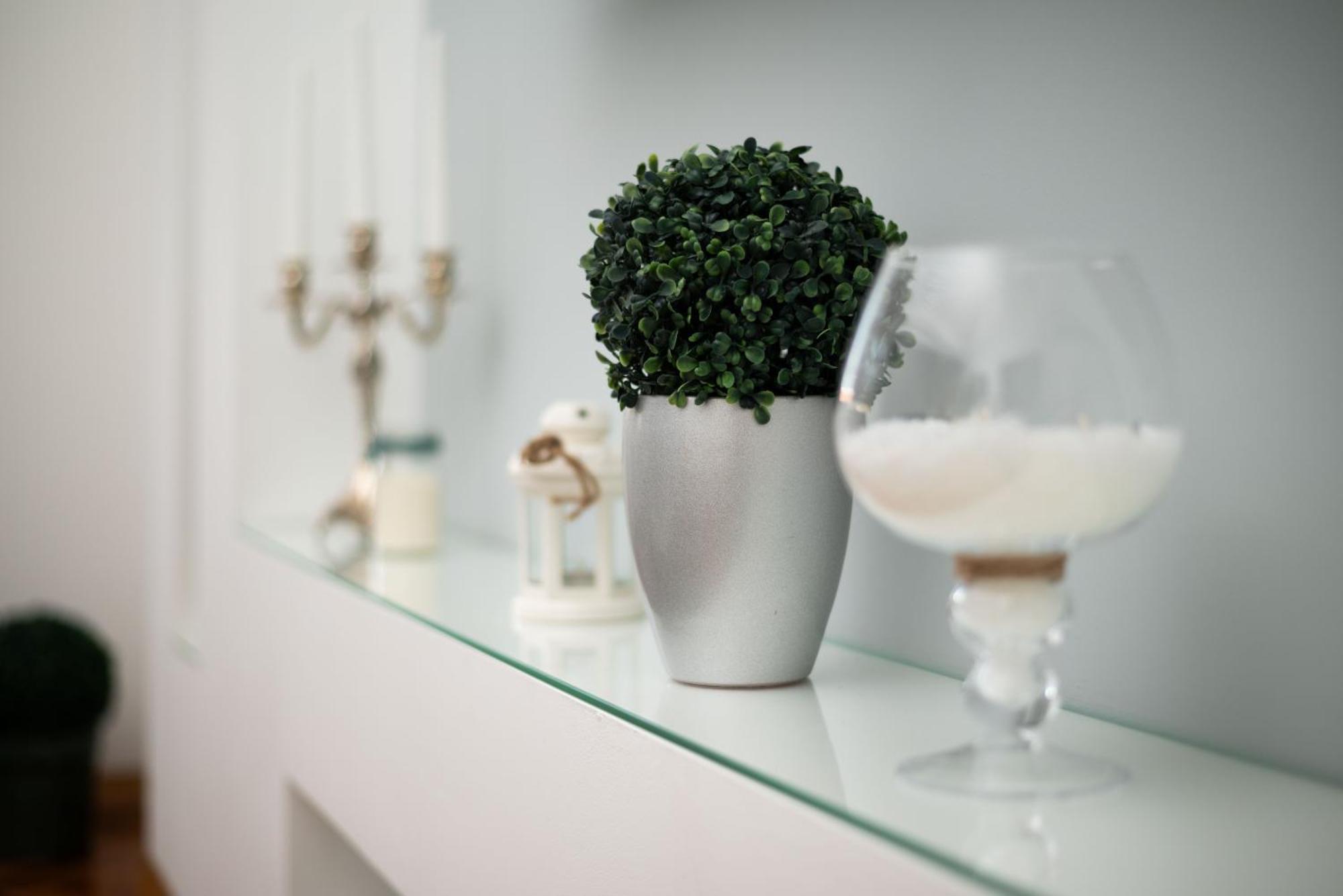 Apartment Primula Subotica Zewnętrze zdjęcie